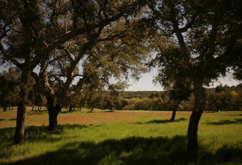 민박 Monte Do Areeiro