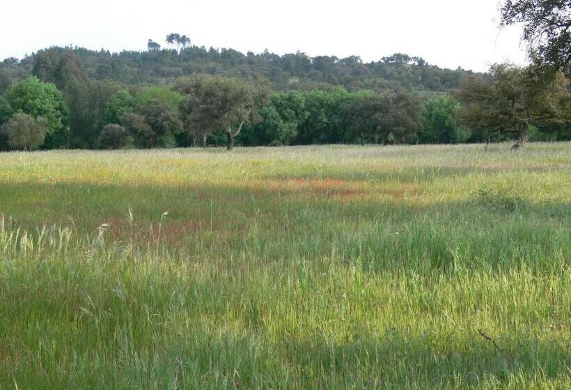민박 Monte Do Areeiro