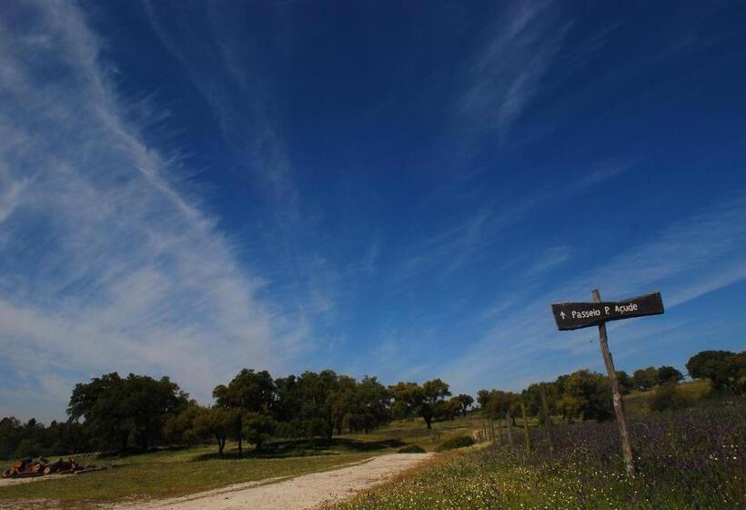 住宿加早餐  Monte Do Areeiro