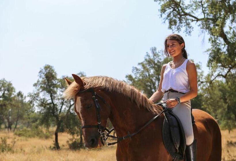 민박 Monte Do Areeiro