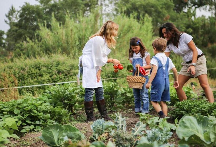 민박 Monte Do Areeiro