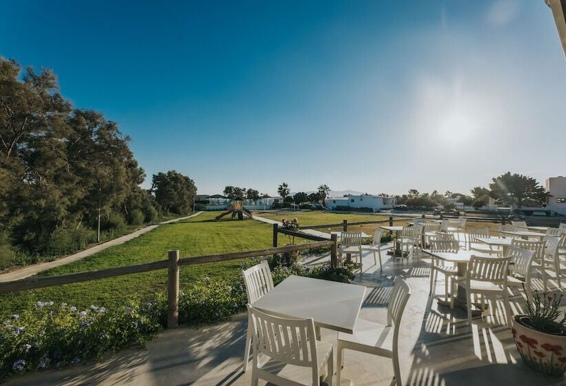 Отель Aegean Palace