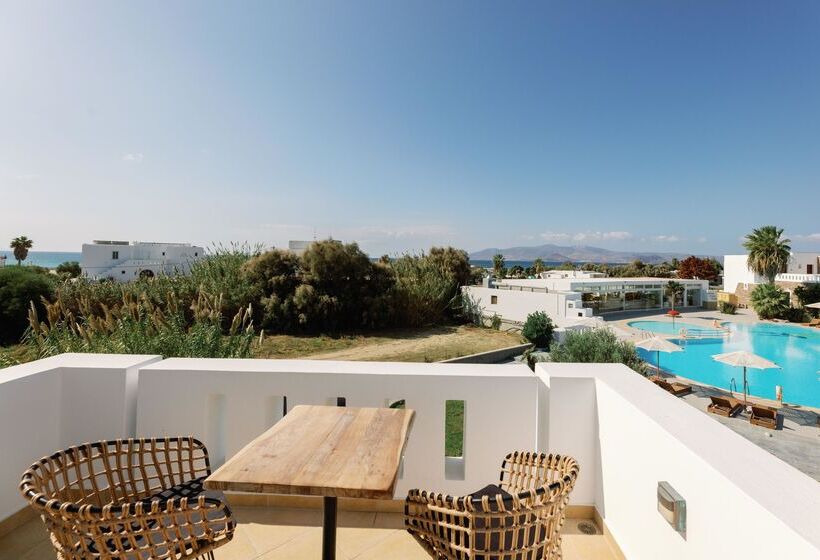 Отель Aegean Palace