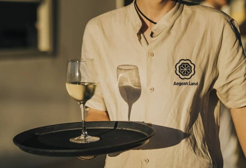 Отель Aegean Palace