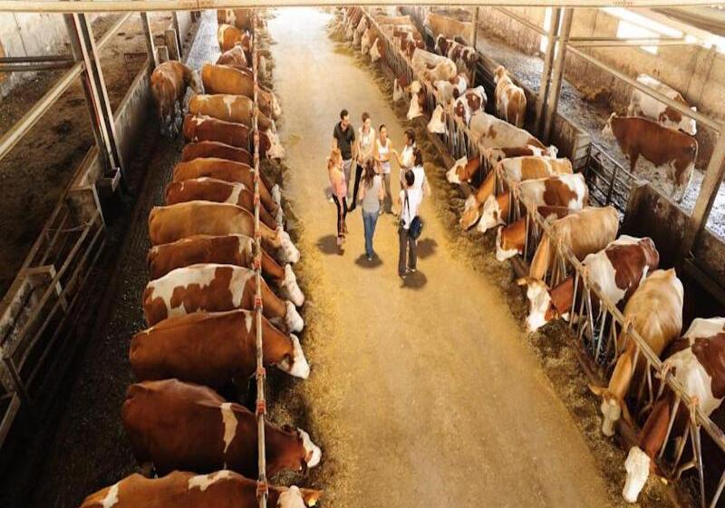 בית מלון כפרי Villa Dafne