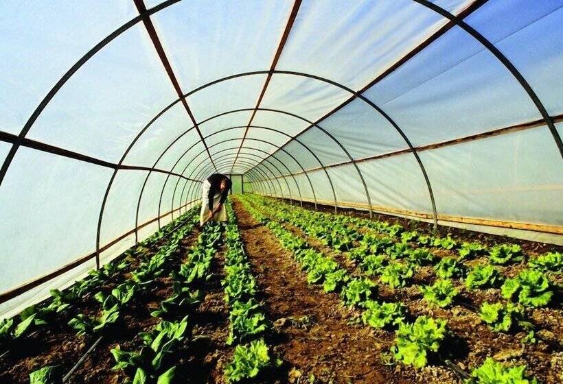 בית מלון כפרי Villa Dafne