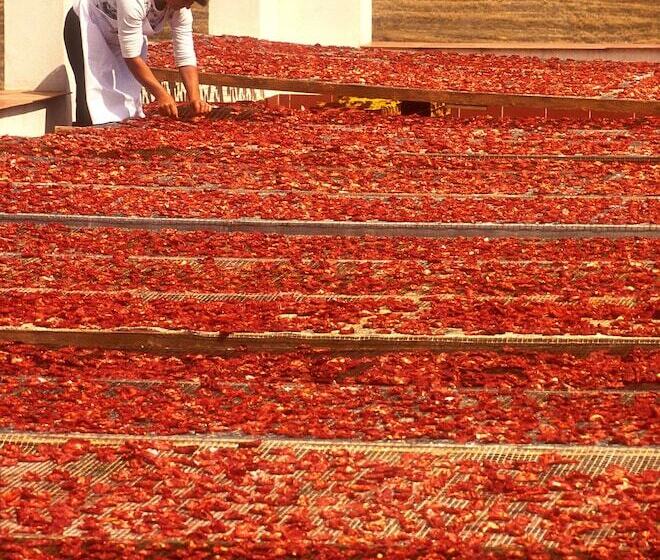 בית מלון כפרי Villa Dafne