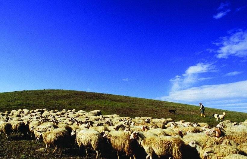 בית מלון כפרי Villa Dafne