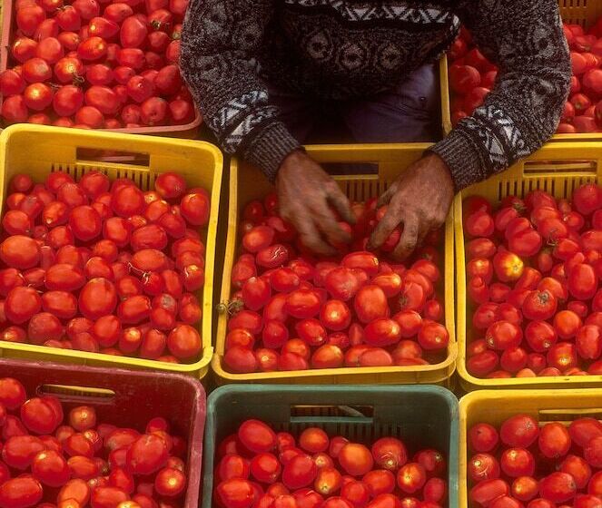 בית מלון כפרי Villa Dafne