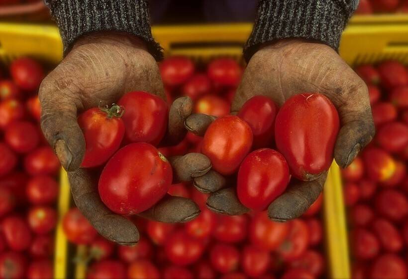 בית מלון כפרי Villa Dafne