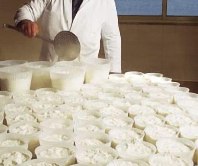 בית מלון כפרי Villa Dafne