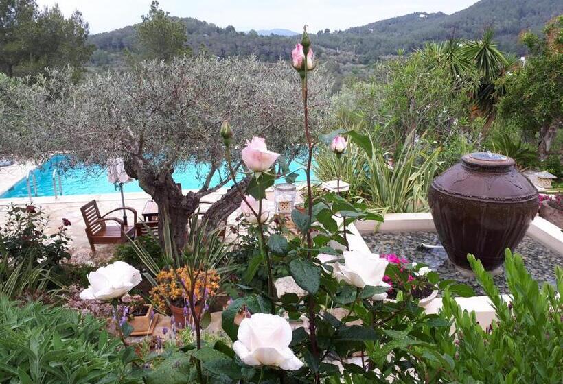 Отель Agroturismo Can Pardal