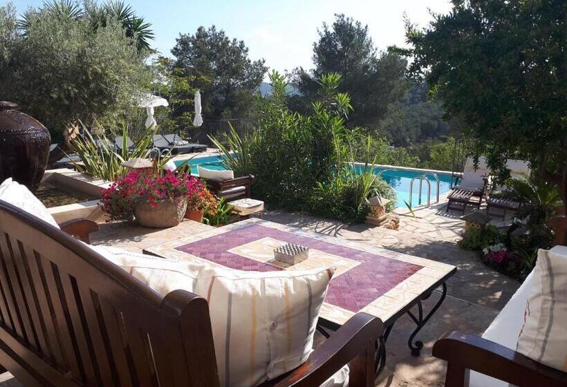 Отель Agroturismo Can Pardal