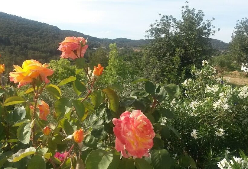 Отель Agroturismo Can Pardal