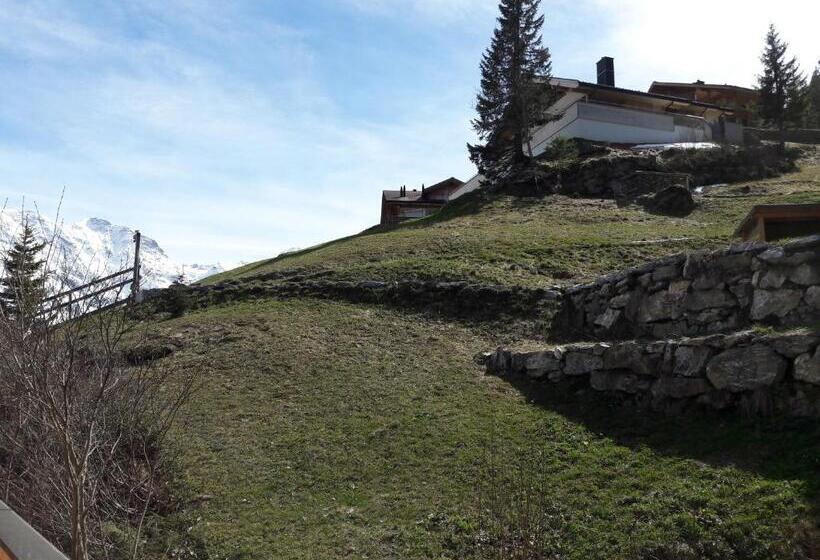 Отель Alpenblick Mürren