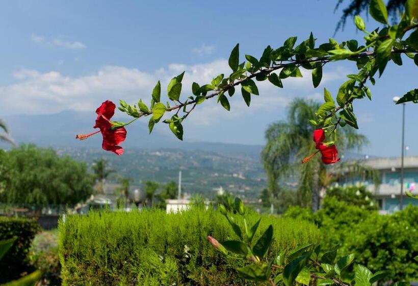 فندق Atlantis Palace