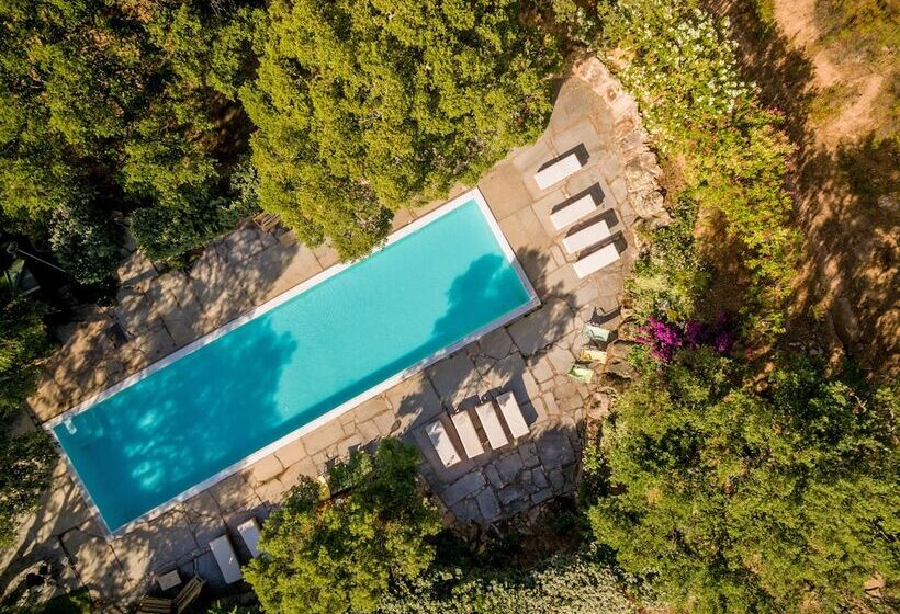 בית מלון כפרי Borgo Di Campagna