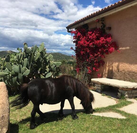 בית מלון כפרי Borgo Di Campagna