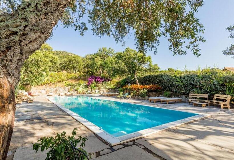 בית מלון כפרי Borgo Di Campagna