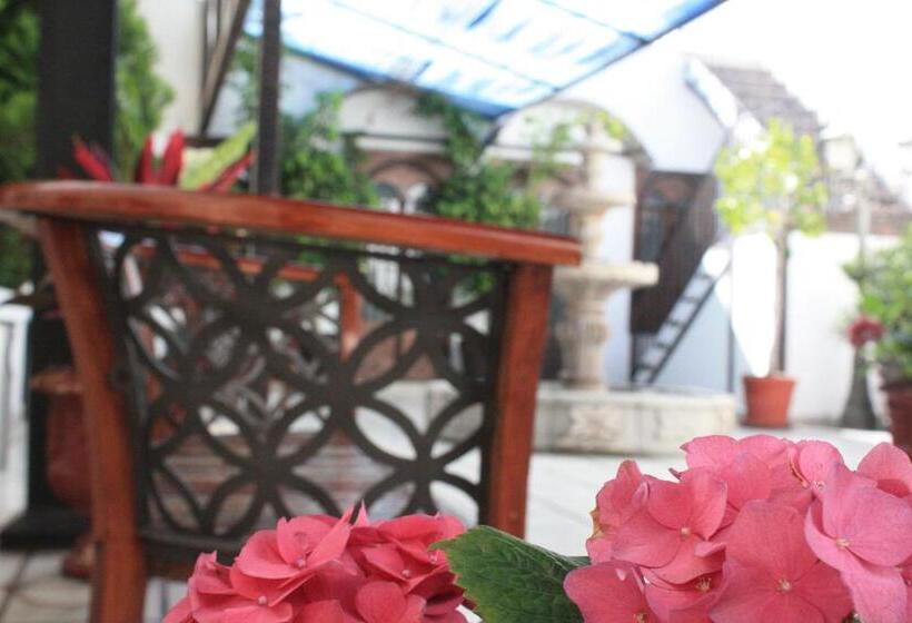 Отель Casa De La Luna