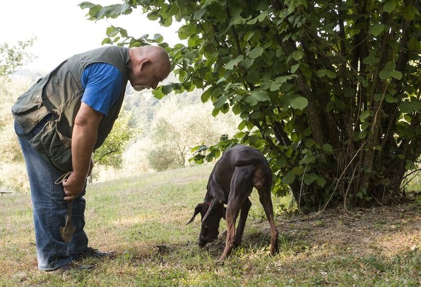 فندق Castello Di Petroia Dimora D Epoca