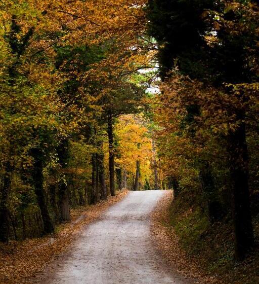 فندق Castello Di Petroia Dimora D Epoca