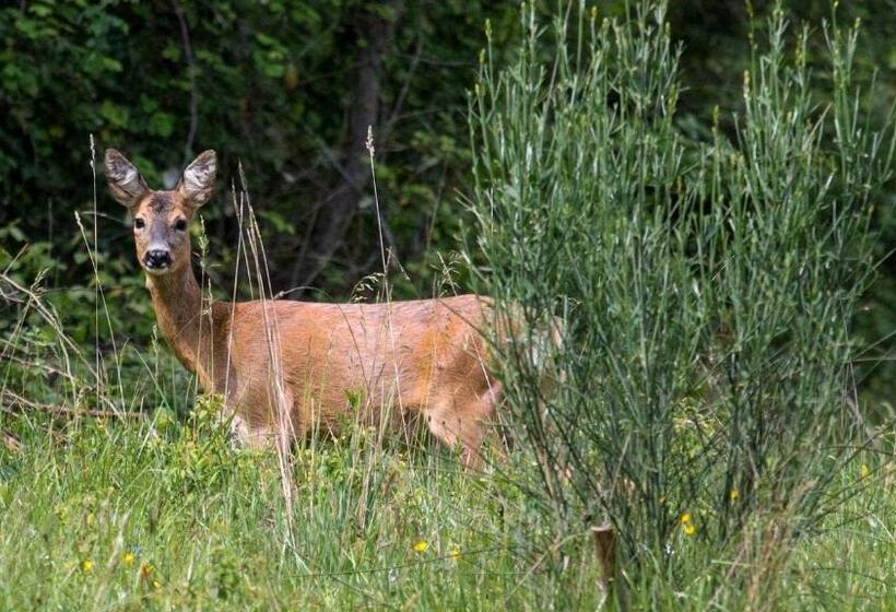 فندق Castello Di Petroia Dimora D Epoca