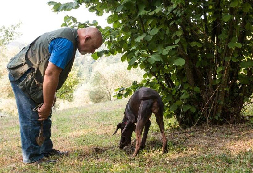 فندق Castello Di Petroia Dimora D Epoca