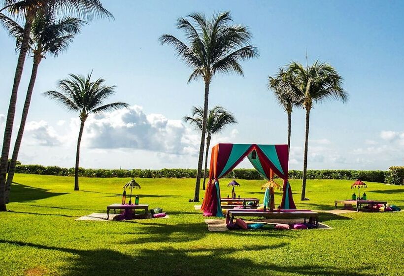 酒店 Dreams Jade Resort & Spa All Inclusive