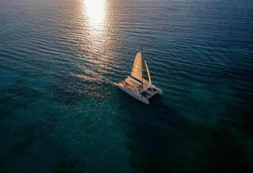 Отель El Dorado Maroma Catamarán, Cenote & More Inclusive