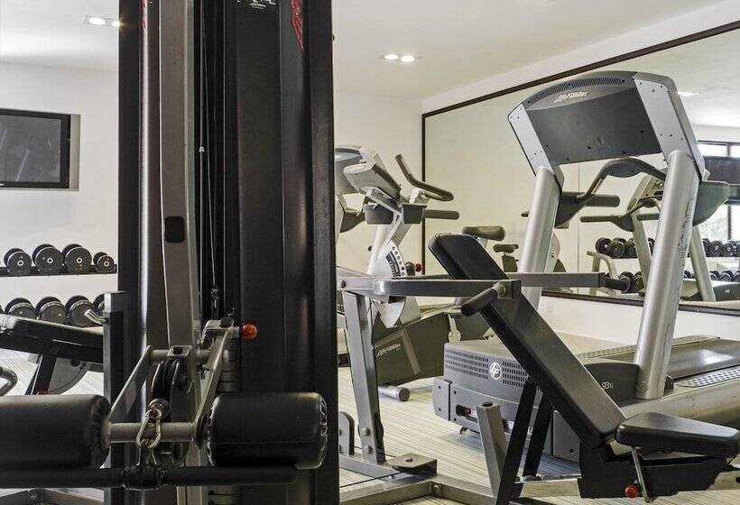 酒店 Fiesta Inn Toluca Centro