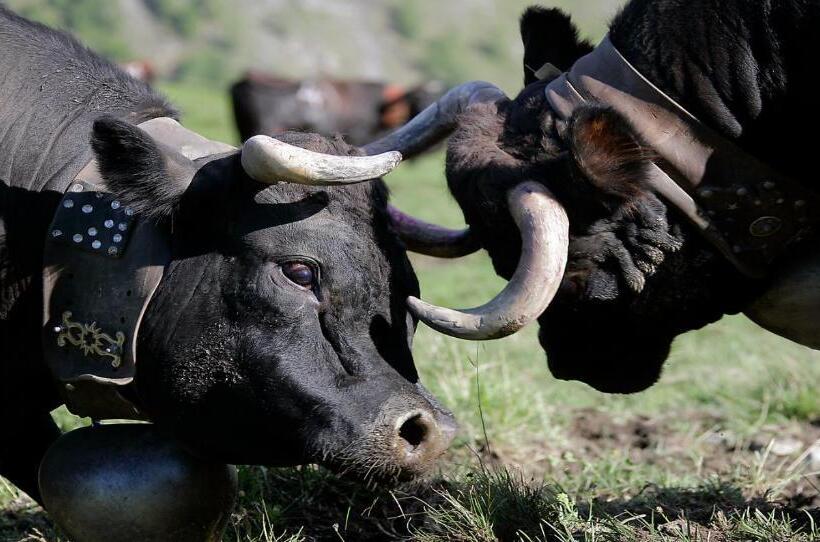 בית מלון כפרי Grand Hôtel & Kurhaus