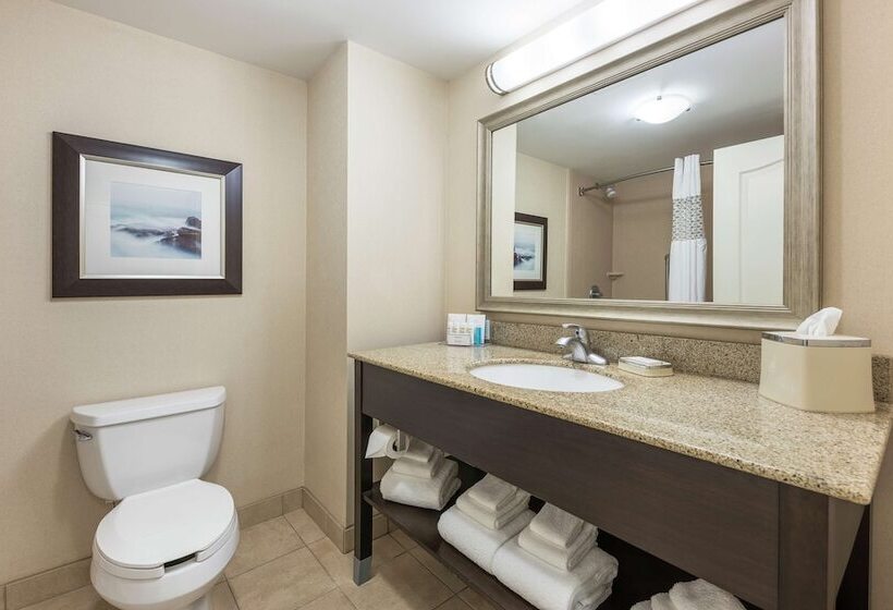 فندق Hampton Inn & Suites By Hilton Moncton