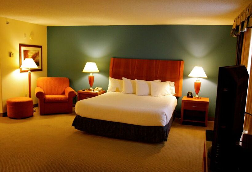 فندق Hilton Garden Inn Albany