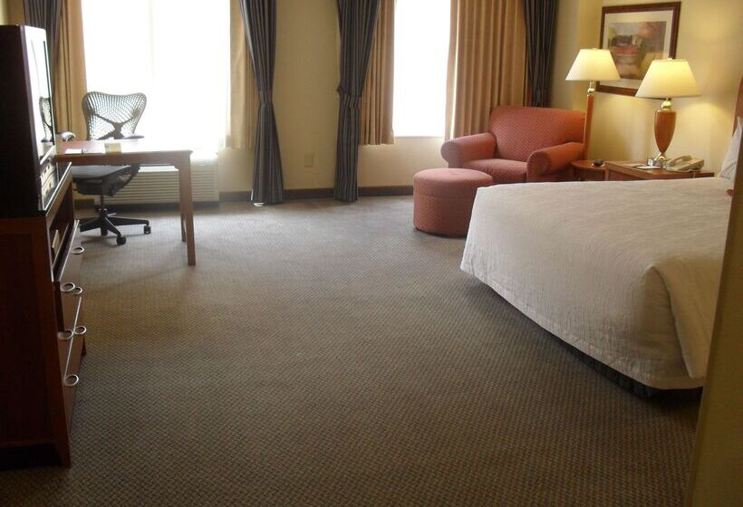 فندق Hilton Garden Inn Albany