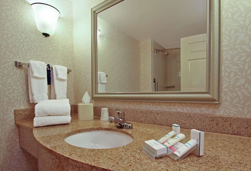 هتل Hilton Garden Inn Chesapeake/greenbrier