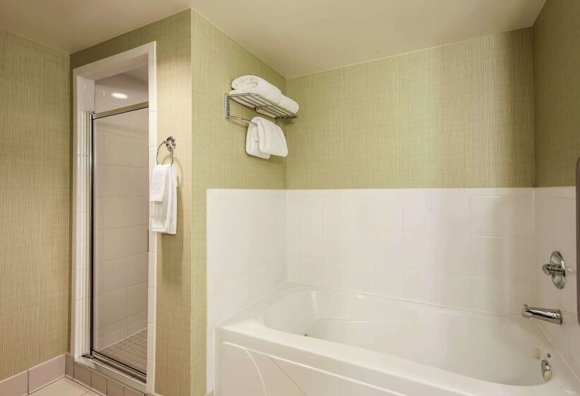 Отель Hilton Garden Inn Chicago/midway Airport