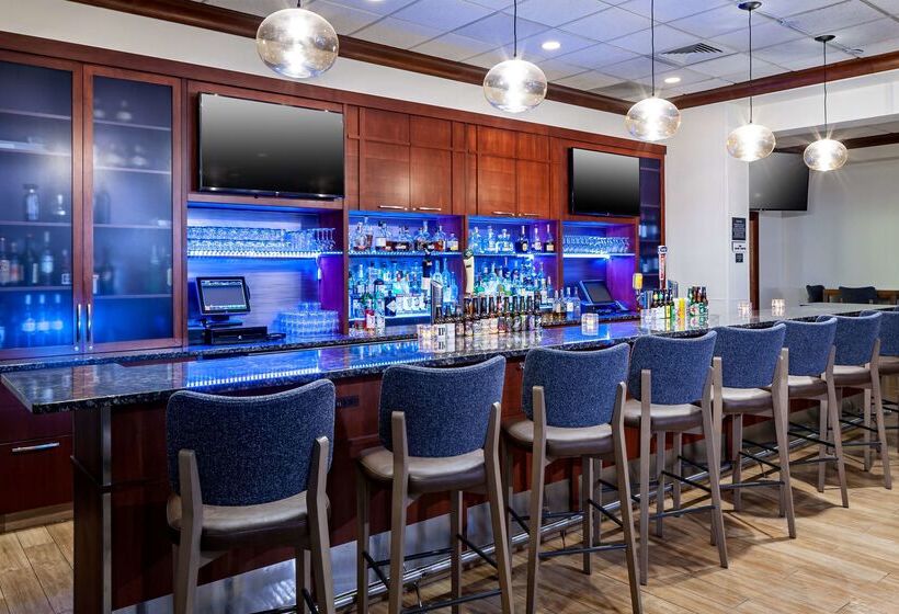 هتل Hilton Garden Inn Chicago O Hare Airport