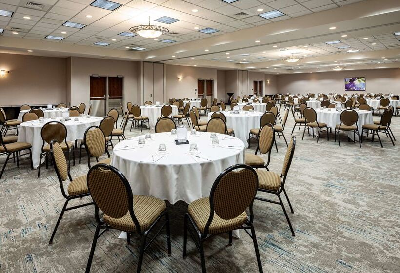 هتل Hilton Garden Inn Chicago O Hare Airport