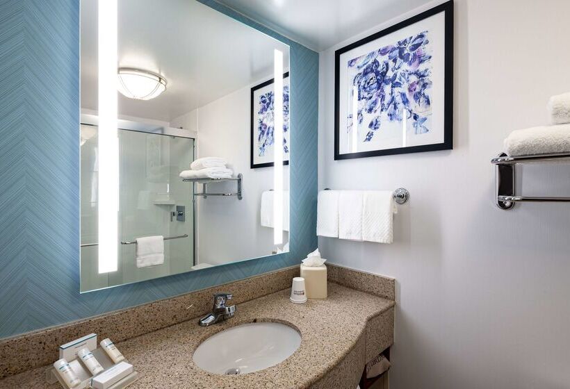 هتل Hilton Garden Inn Chicago O Hare Airport