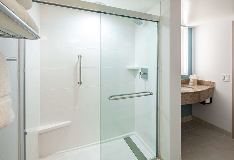 هتل Hilton Garden Inn Chicago O Hare Airport