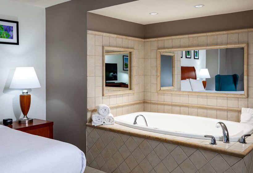 هتل Hilton Garden Inn Chicago O Hare Airport