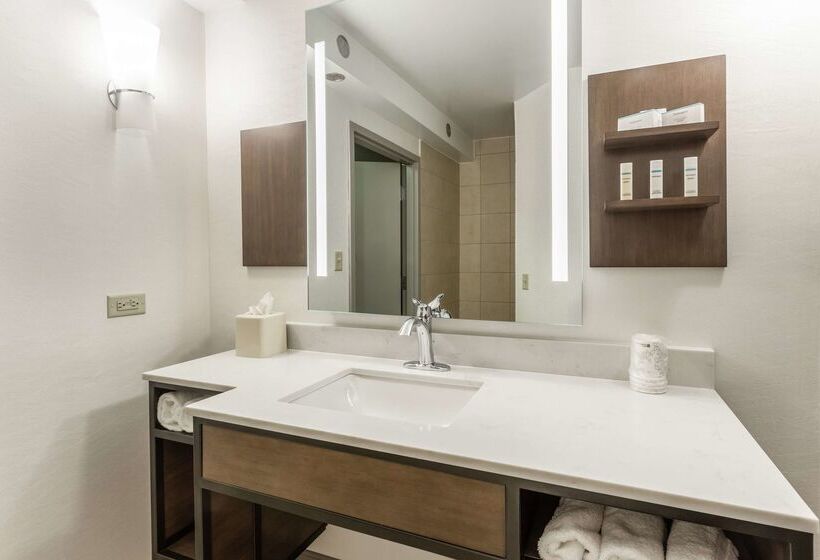 בית מלון כפרי Hilton Garden Inn Chicago/tinley Park