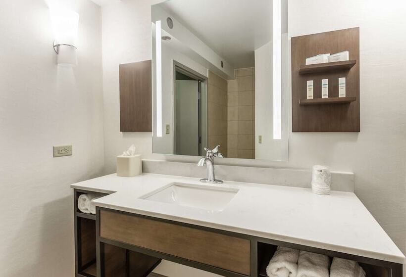 فندق Hilton Garden Inn Chicago/tinley Park