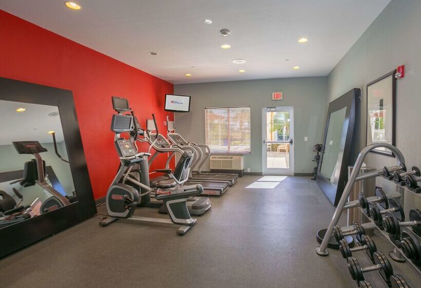 فندق Hilton Garden Inn Lakeland