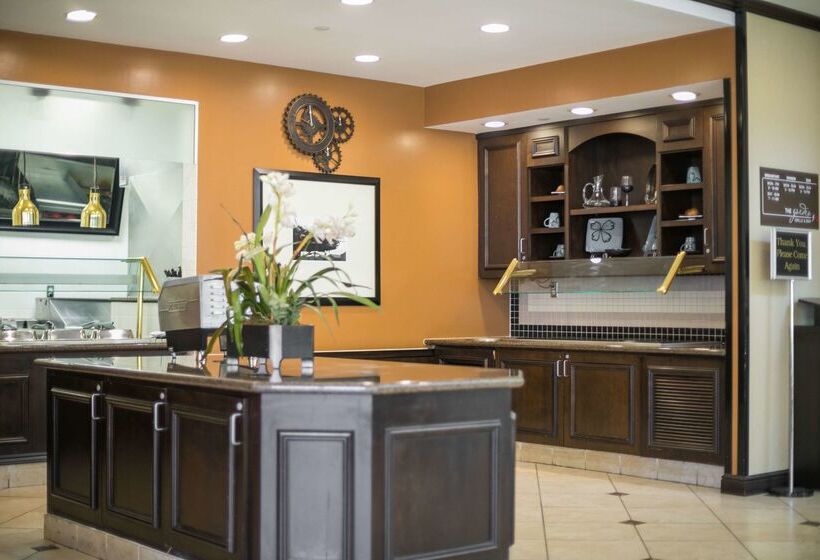 فندق Hilton Garden Inn Lakeland