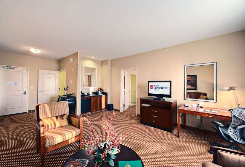 Отель Hilton Garden Inn Laramie