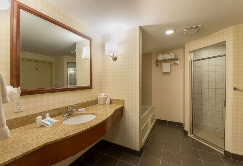 هتل Hilton Garden Inn Manchester Downtown