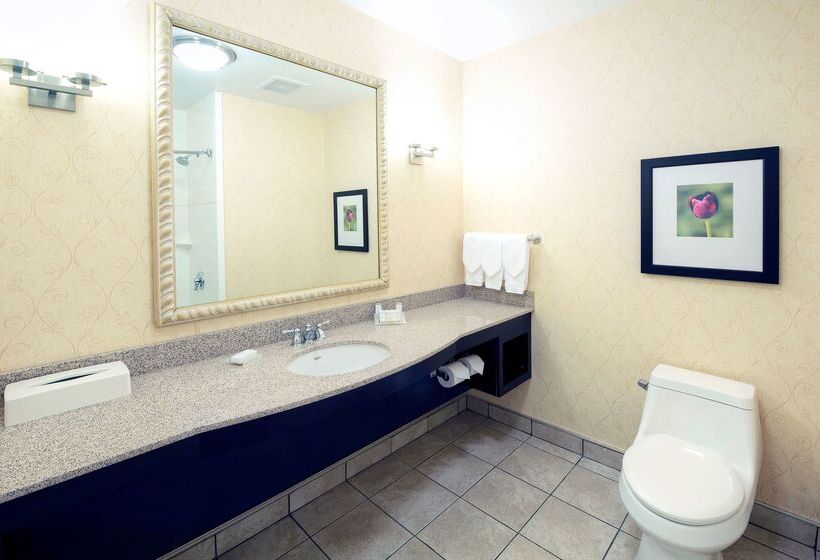 Отель Hilton Garden Inn Ottawa Airport