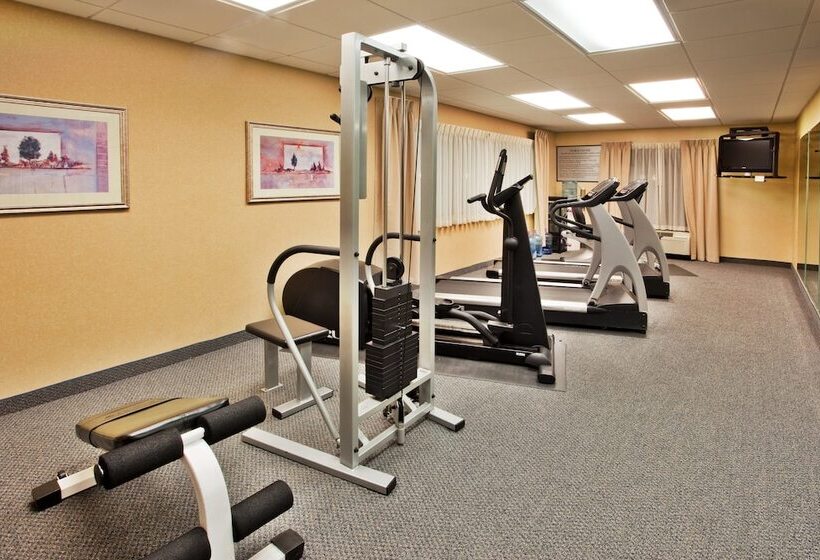 Holiday Inn Express Hotel & Suites Mcdonough, An Ihg